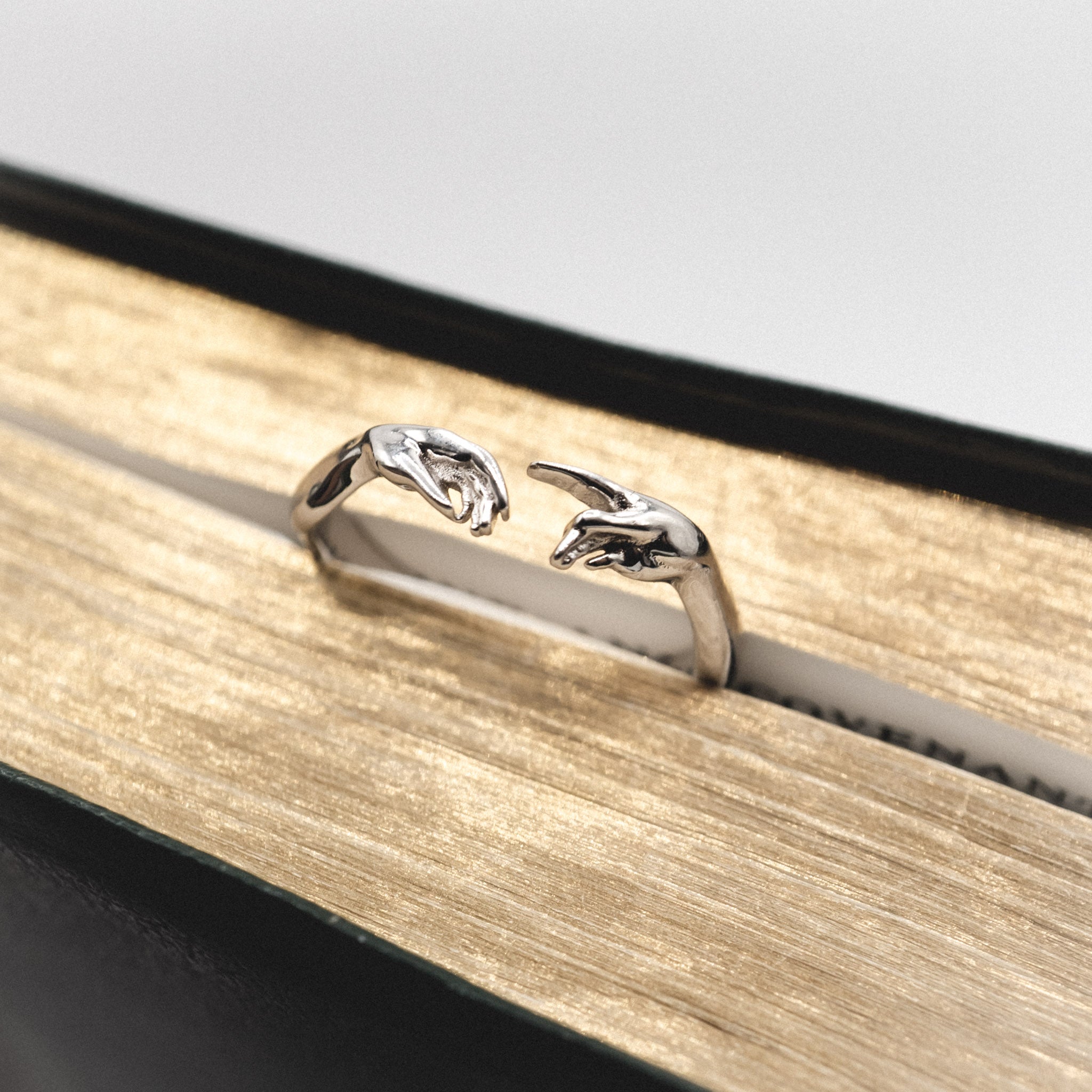 Creation of Adam Ring